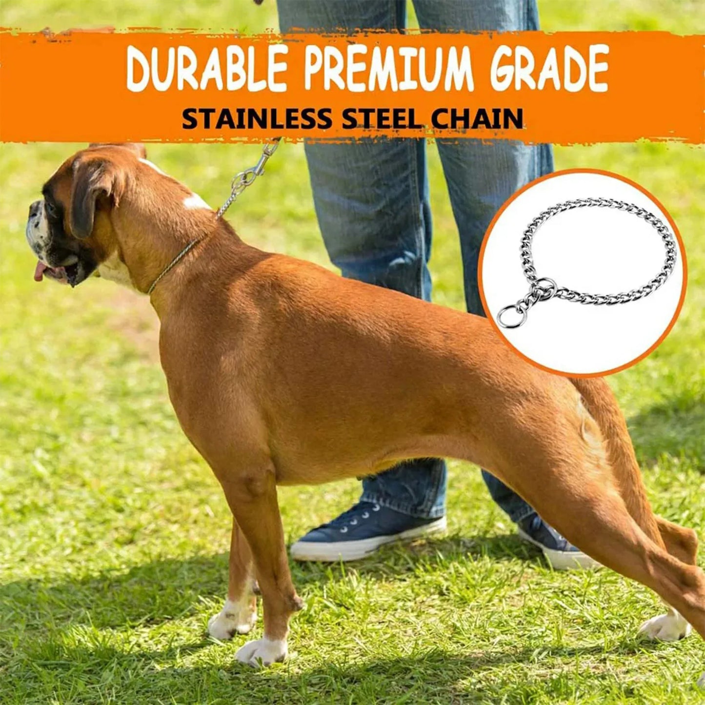 Metal Dog Chain Collars