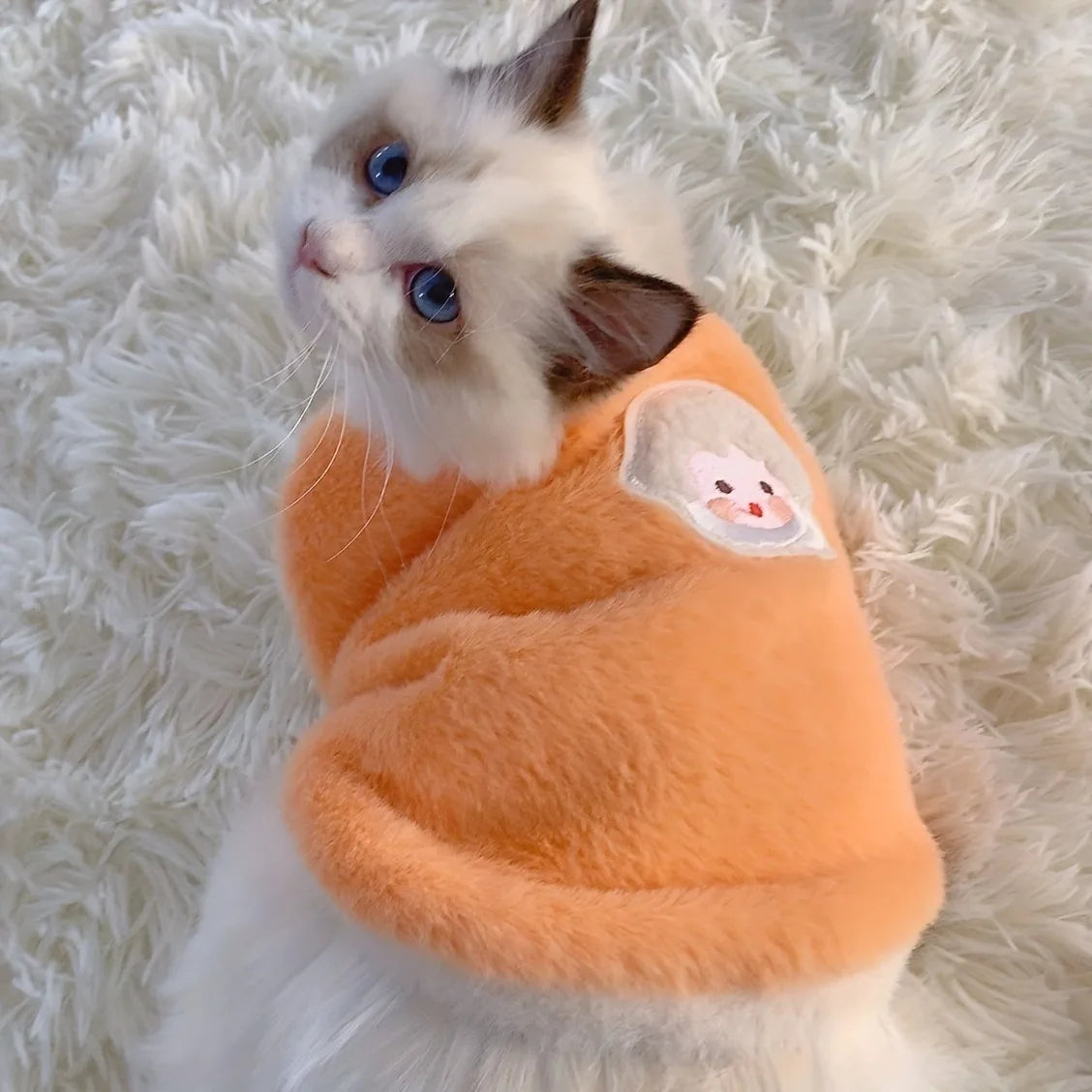 Warm Kittens Clothes for Winter