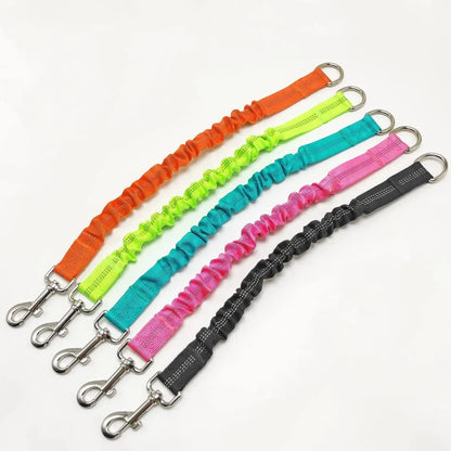 Dog Lead Shock Absorber