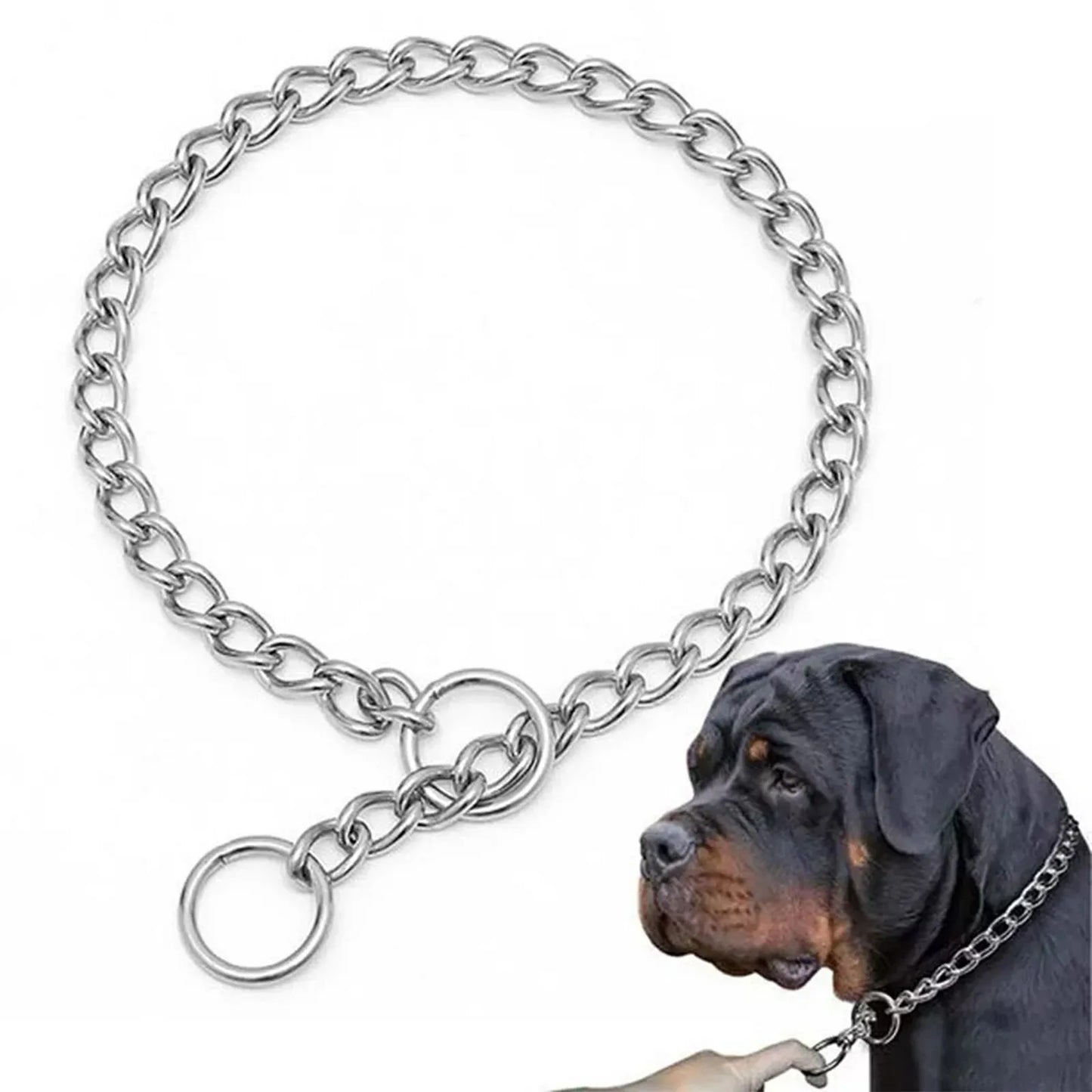 Metal Dog Chain Collars