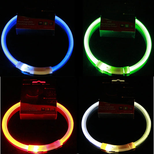 Led Dog COLLAR