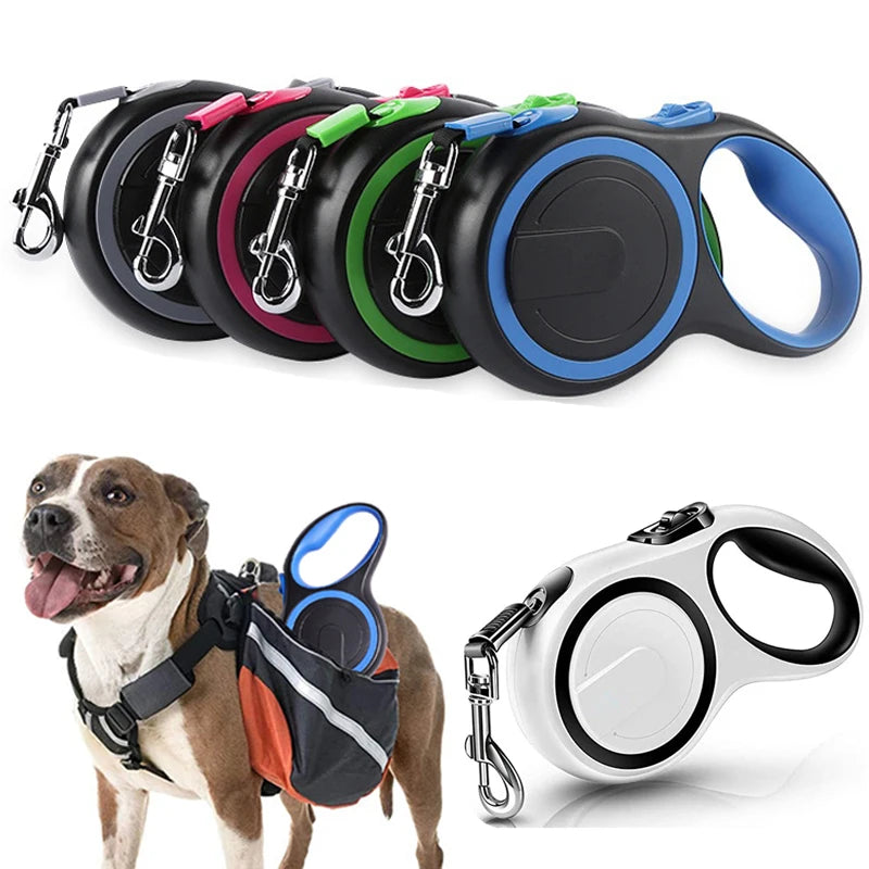 Pet Dog Extending Leash