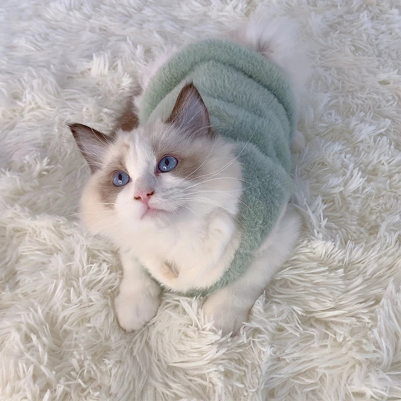 Warm Kittens Clothes for Winter
