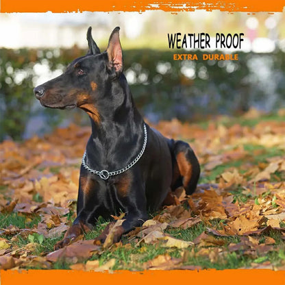 Metal Dog Chain Collars
