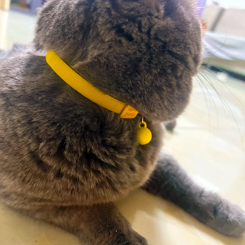 Cute Kitten Collar Adjustable