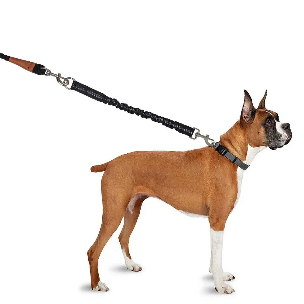 Dog Lead Shock Absorber