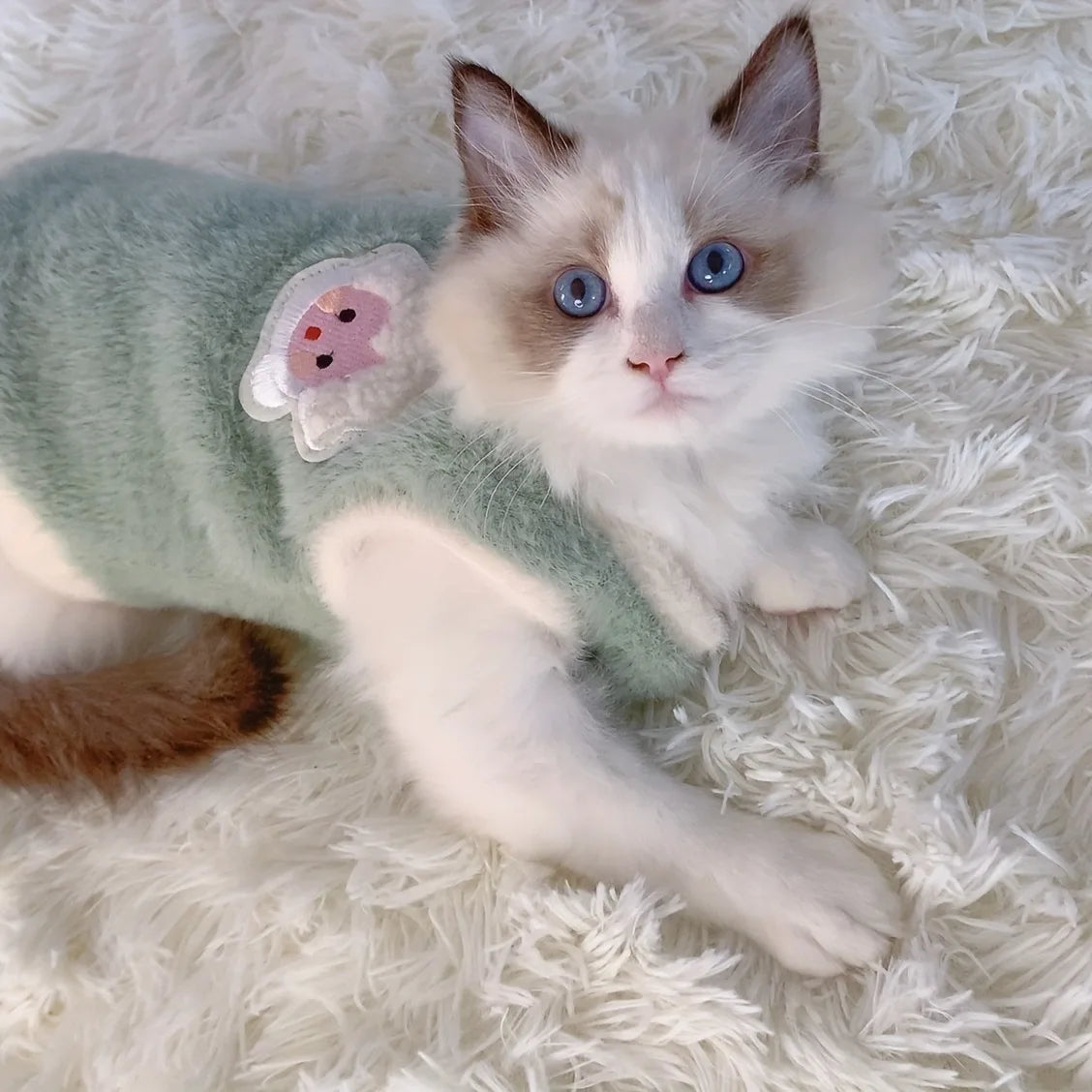 Warm Kittens Clothes for Winter