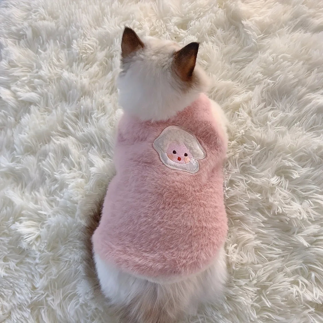 Warm Kittens Clothes for Winter
