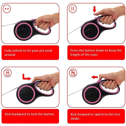 Pet Dog Extending Leash