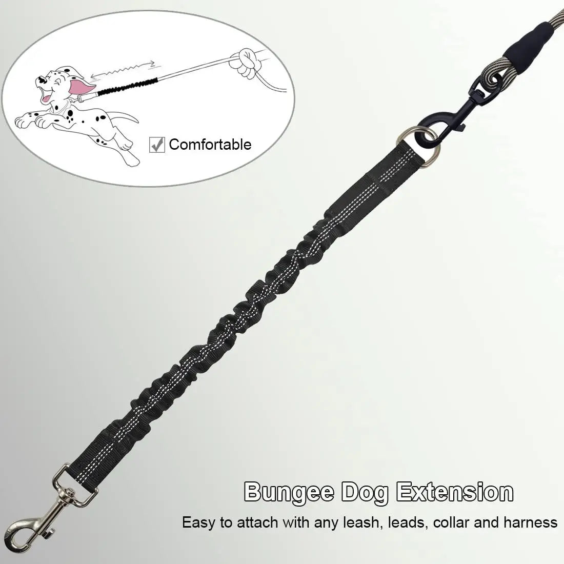 Dog Lead Shock Absorber