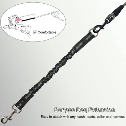 Dog Lead Shock Absorber