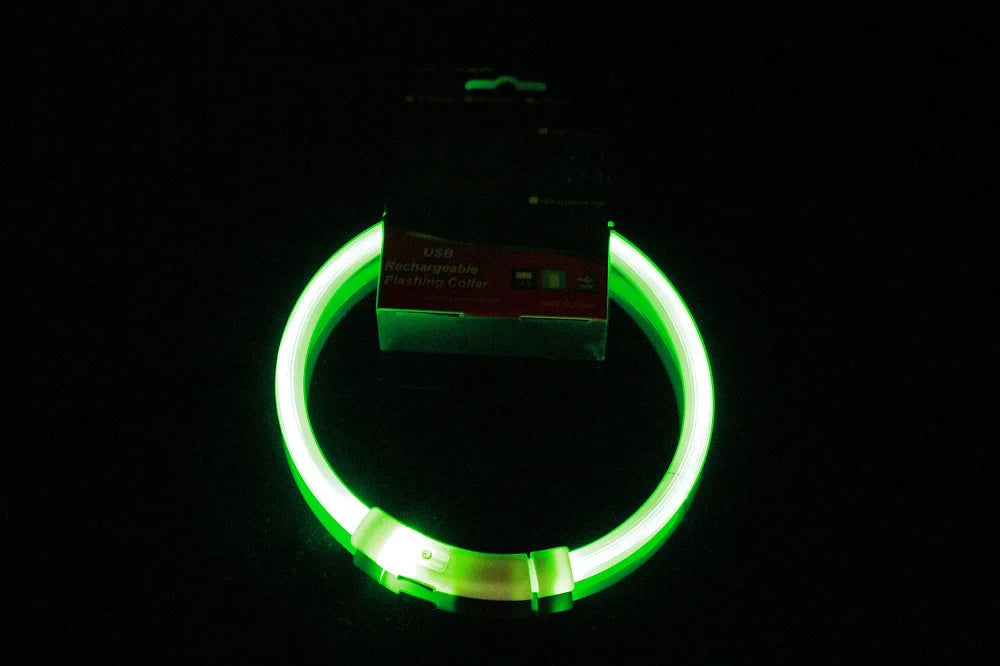 Led Dog COLLAR